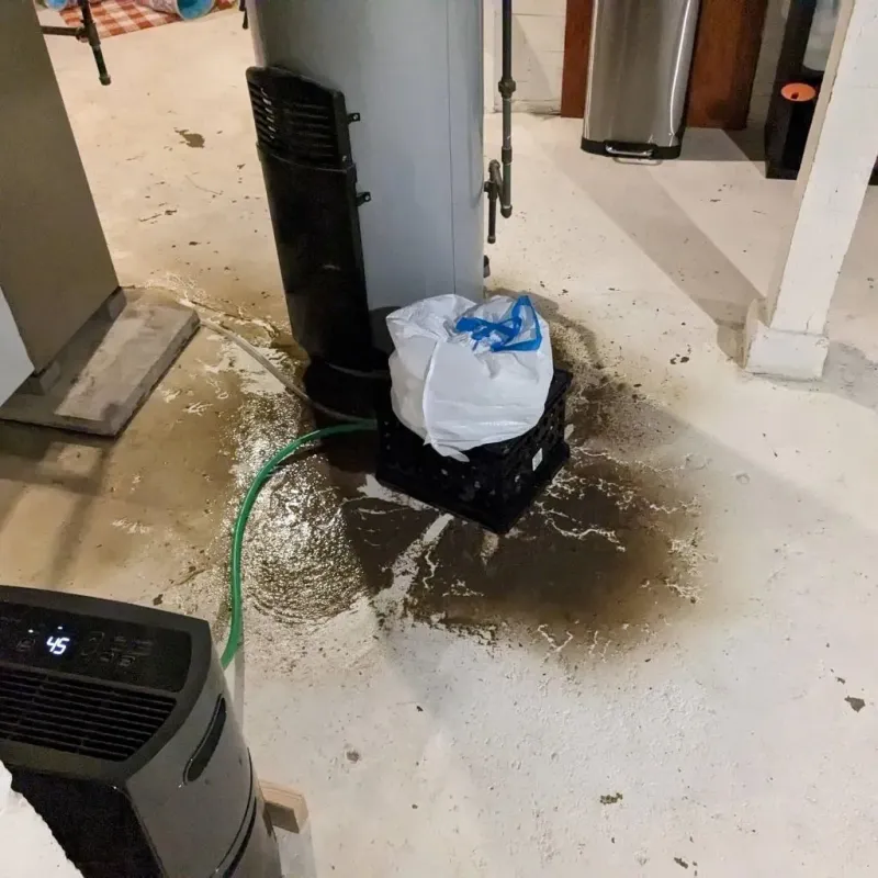 Sewage Backup Cleanup Service in Security-Widefield, CO